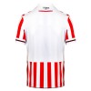 Fußball Trikot Stoke City Heim 2023-24